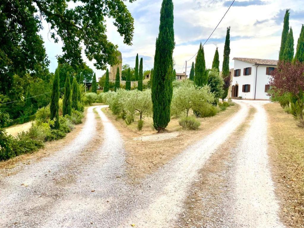 Appartement Umbrian Hills Flat - Free Parking & Garden à Pérouse Extérieur photo