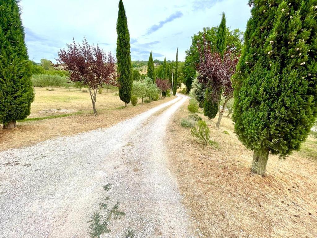 Appartement Umbrian Hills Flat - Free Parking & Garden à Pérouse Extérieur photo